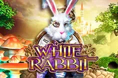 White Rabbit