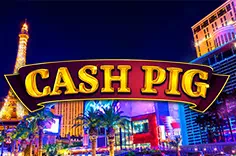 Cash Pig